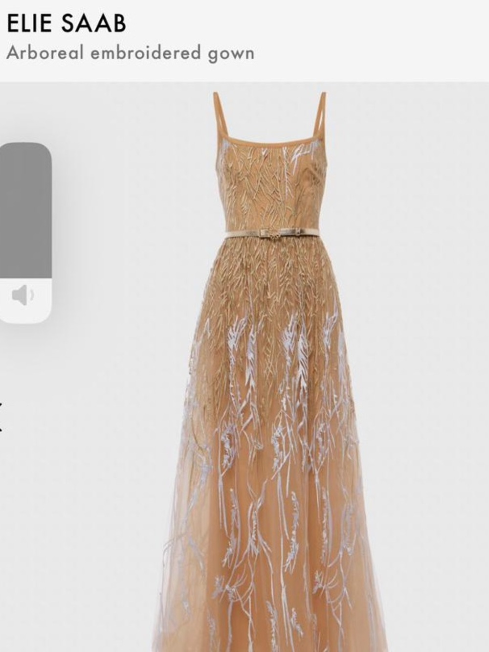 Elie Saab Arboreal Embroidered gown